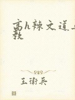 高h辣文道具调教