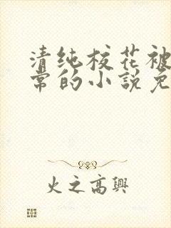 清纯校花被擒日常的小说免费阅读苏