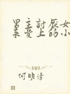 男主讨厌女主后来爱上的小说