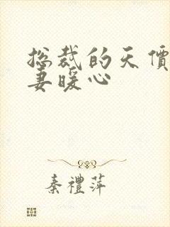 总裁的天价小娇妻暖心