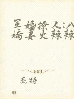 军婚撩人:八零娇妻火辣辣小说完整版本封面
