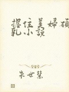 握住美妇硕大双乳小说封面