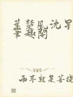 叶楚风沈星岚2笔趣阁封面