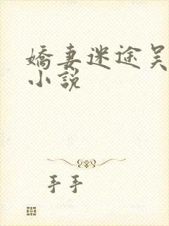 娇妻迷途吴铁军小说