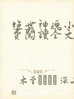 绝世神魂小说免费阅读全文无弹窗封面