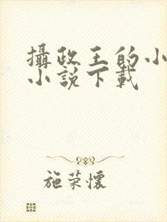 摄政王的小闲妻小说下载