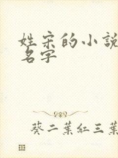 姓宋的小说女主名字