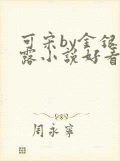 可宋by金银花露小说好看吗