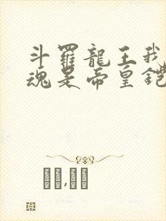 斗罗龙王我的武魂是帝皇铠甲笔趣阁