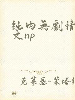 纯肉无剧情肉的文np