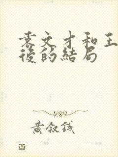 袁文才和王佐最后的结局封面