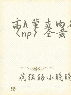 高h荤爽肉欲文〈np〉全黄