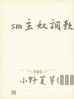 sm主奴调教文