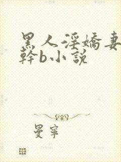 黑人淫娇妻小说干b小说封面