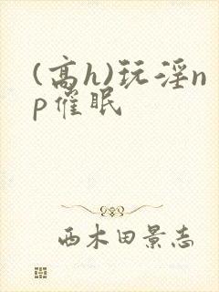 (高h)玩淫np催眠