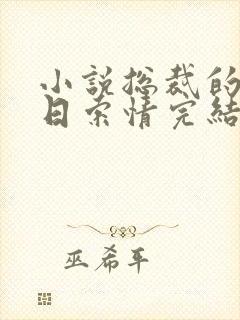 小说总裁的33日索情完结