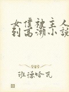 女仆被主人调教到高潮小说