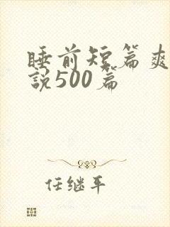 睡前短篇爽文小说500篇封面