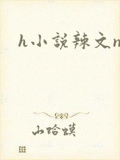 h小说辣文np