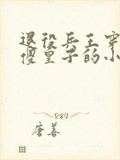 退役兵王穿越成傻皇子的小说