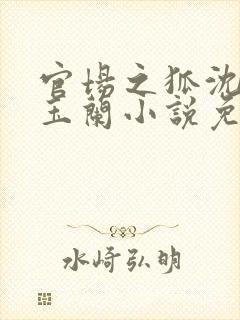 官场之狐沈荡赵玉兰小说免费阅读