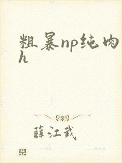粗暴np纯肉高h封面