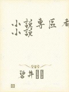 小说专区 都市小说封面