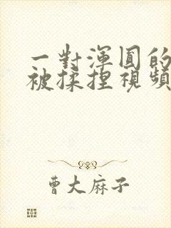 一对浑圆的胸乳被揉捏视频