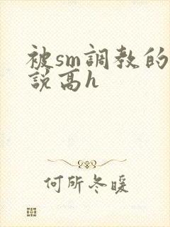 被sm调教的小说高h