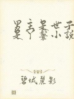 男主是世子女主是丫鬟小说封面