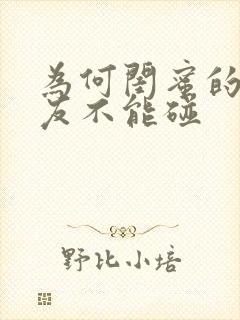 为何闺蜜的前男友不能碰封面