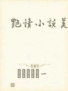艳情小说美少妇封面