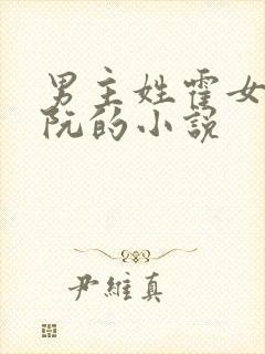 男主姓霍女主姓阮的小说