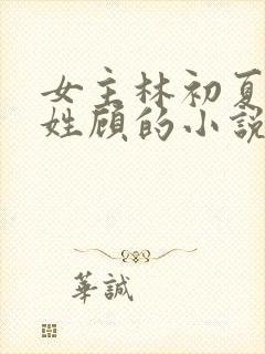 女主林初夏男主姓顾的小说封面