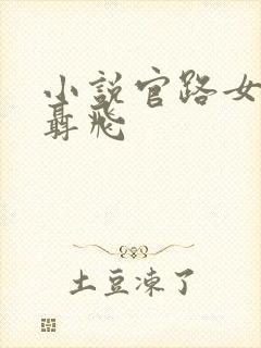 小说官路女人香聂飞