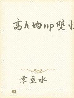 高h肉np双性封面