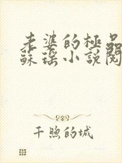 老婆的极品闺蜜苏瑶小说阅读