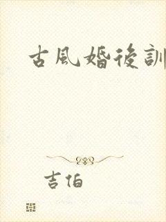 古风婚后训诫封面