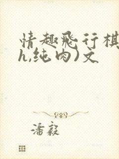情趣飞行棋(高h,纯肉)文