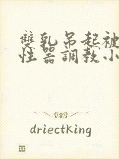 双乳吊起被各种性器调教小说封面