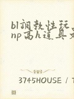 bl调教性玩具np高h道具文封面