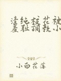 清纯校花被民工羞耻调教小说