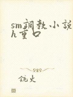 sm调教小说高h重口