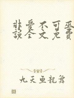 非爱不可巫哲小说全文免费阅读