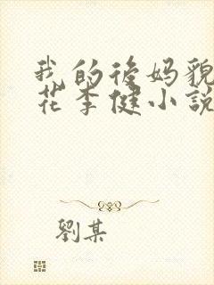 我的后妈貌美如花李健小说免费阅读封面