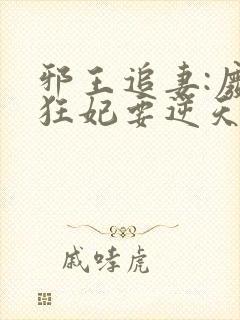 邪王追妻:废材狂妃要逆天