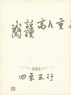 小说高h重在线阅读