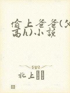 偷上爸爸(父女高h)小说