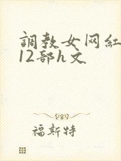 调教女网红1～12部h文