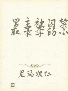 男主被囚禁被强取豪夺的小说